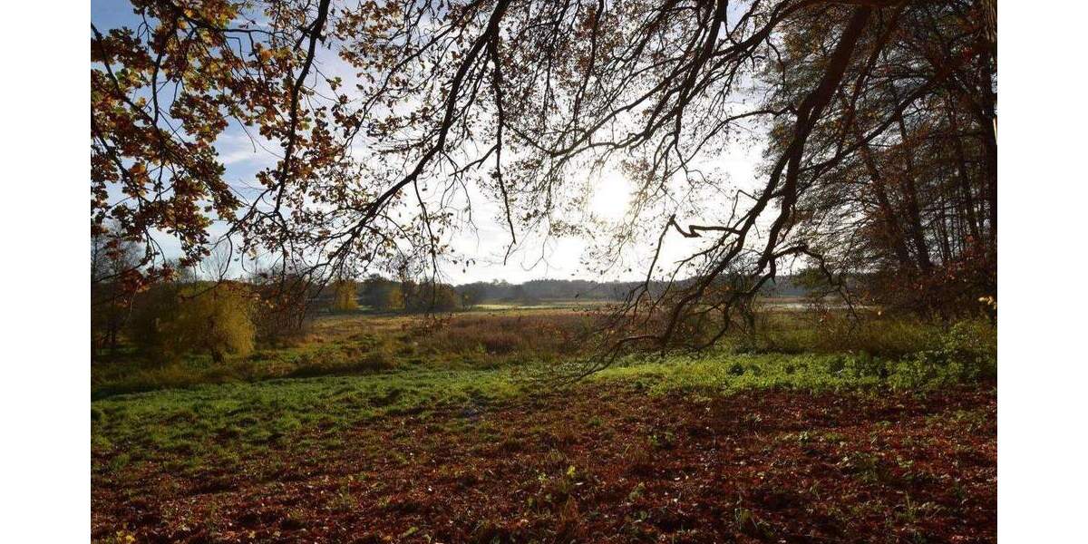 Mehrfamilienhaus, Wohnhaus Trittau - 795.000&euro; | Angebot:25726905