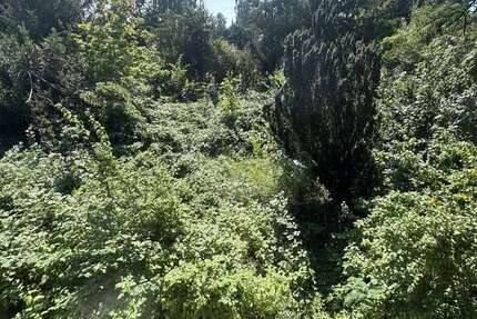 Grundstück Quickborn - 695.000&euro; | Angebot:22629084