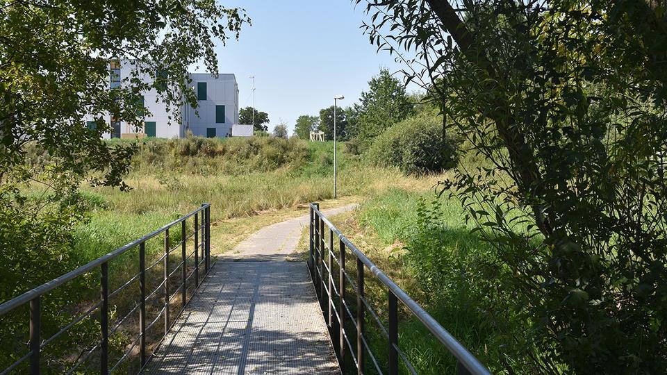 Etagenwohnung Bad Oldesloe - 1 Zimmer, 21 m&sup2;, 449&euro; | Angebot:26025996