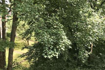 Wohnung Hamburg Eppendorf - 2.5 Zimmer, 67 m&sup2;, 585.000&euro; | Angebot:26032524