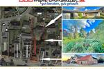 Geschosswohnungsbaugrundstück + freier Walmdachbungalow + vermietetes Haus im Herzen der Kur-und Rolandstadt Bad Bramstedt - Grundstück Bad Bramstedt | Angebot:9247880