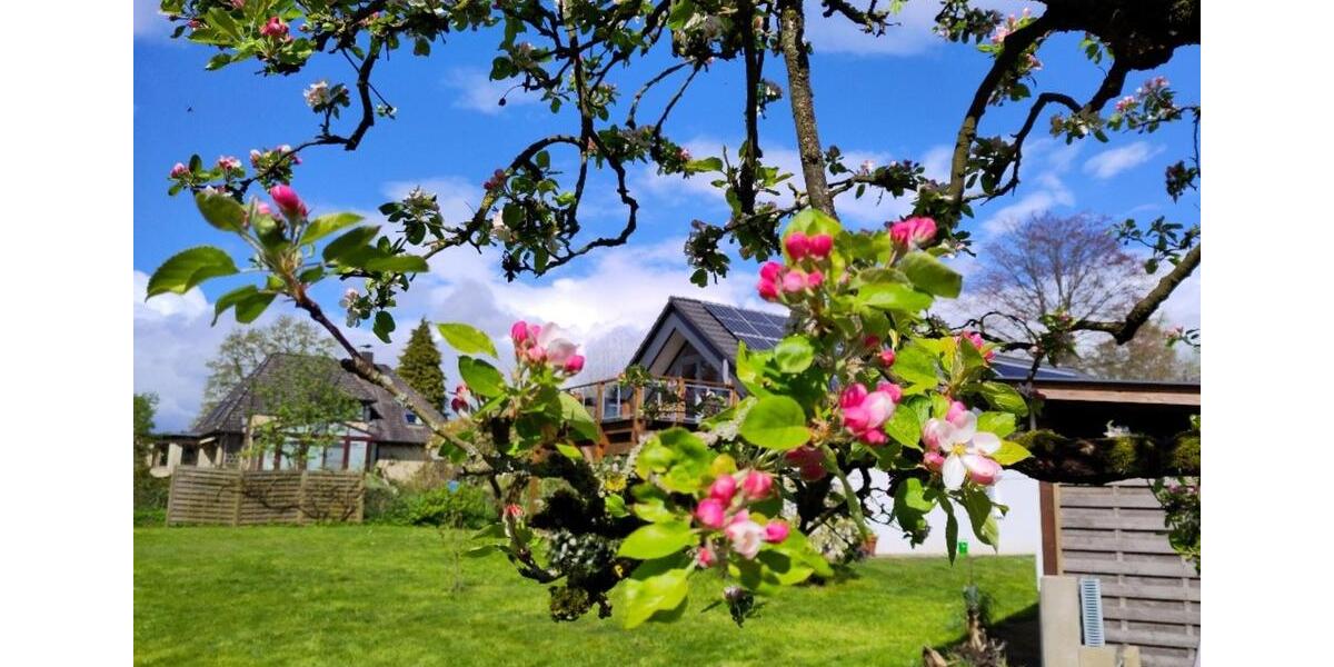 Dachgeschoßwohnung Grönwohld - 2 Zimmer, 75 m&sup2;, 750&euro; | Angebot:25646504