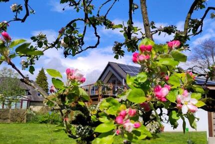 Wohnung Grönwohld - 2 Zimmer, 75 m&sup2;, 750&euro; | Angebot:25646504