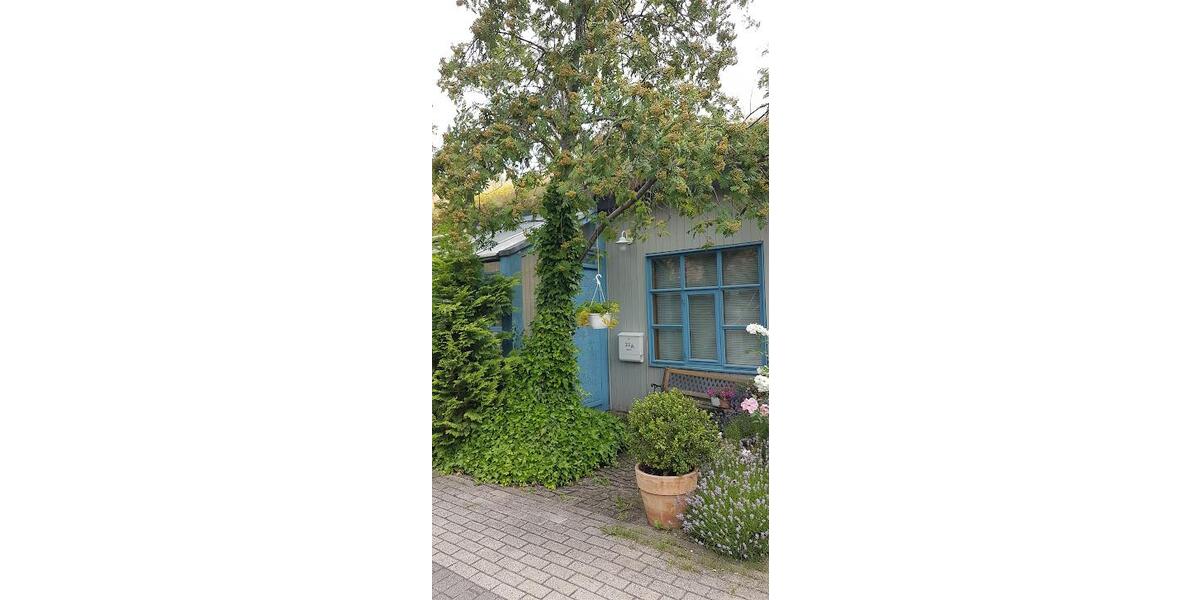 Erdgeschoßwohnung Hamburg Billwerder - 1 Zimmer, 40 m&sup2;, 600&euro; | Angebot:26015587