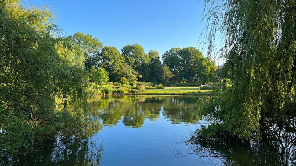 Etagenwohnung Hamburg Wandsbek - 3 Zimmer, 79 m&sup2;, 1.506&euro; | Angebot:26005679