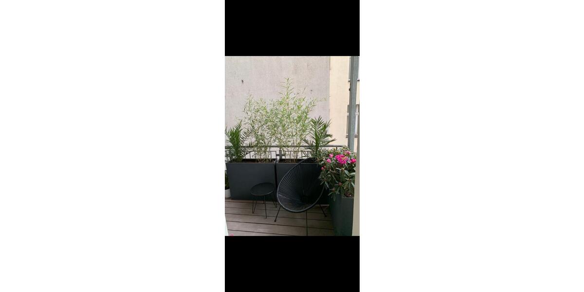 Hochparterre Hamburg Hamburg-Mitte - 4 Zimmer, 104 m&sup2;, 750.000&euro; | Angebot:26669598