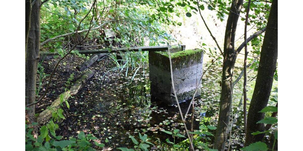 Grundstück Rausdorf - 129.000&euro; | Angebot:25726908