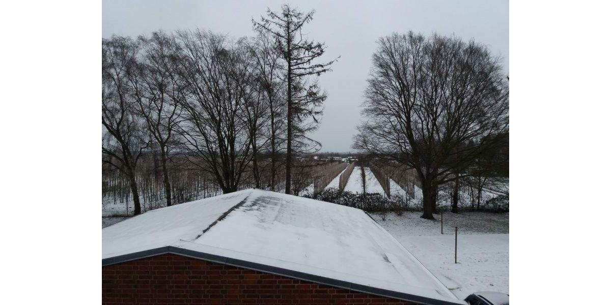 Etagenwohnung Hamburg Neuenfelde - 3 Zimmer, 60 m&sup2;, 490&euro; | Angebot:25673859