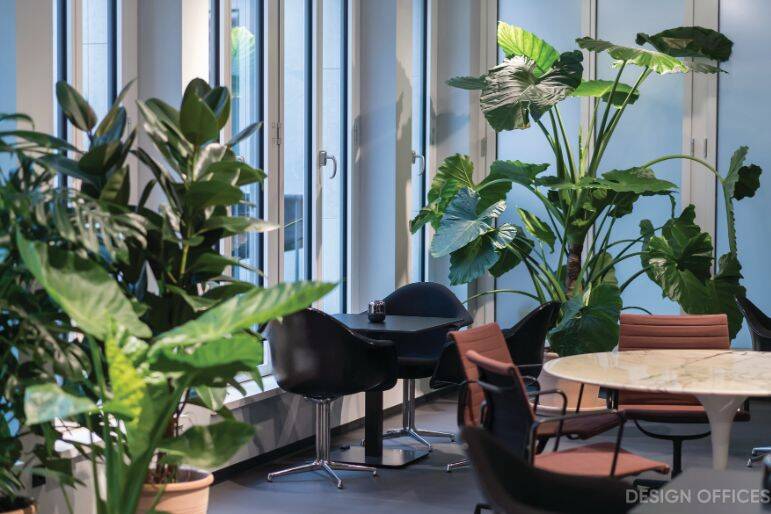 Gewerbeobjekt Hamburg Hammerbrook - 2.100&euro; | Angebot:26004057