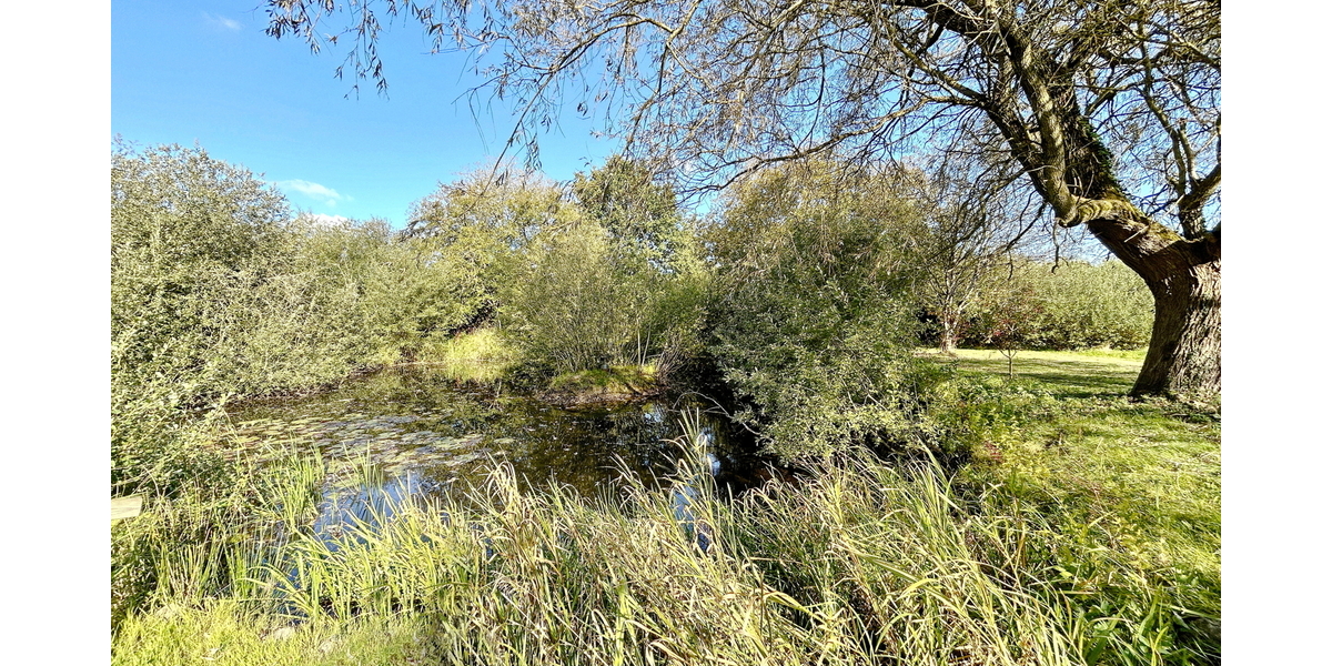 Wo Stille, Wasser und Weite aufeinandertreffen – Einzigartiges Anwesen auf 9.140 m²! - Einfamilienhaus Hitzhusen | Angebot:25365912