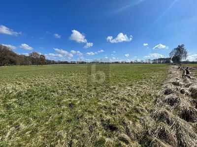 GROßE FLÄCHE MIT VIELSEITIGER NUTZUNG - Grundstück Oststeinbek | Angebot:27190523