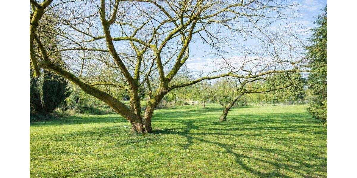 Einfamilienhaus Hamburg-Tatenberg Tatenberg - 6 Zimmer, 200 m&sup2;, 950.000&euro; | Angebot:25822018