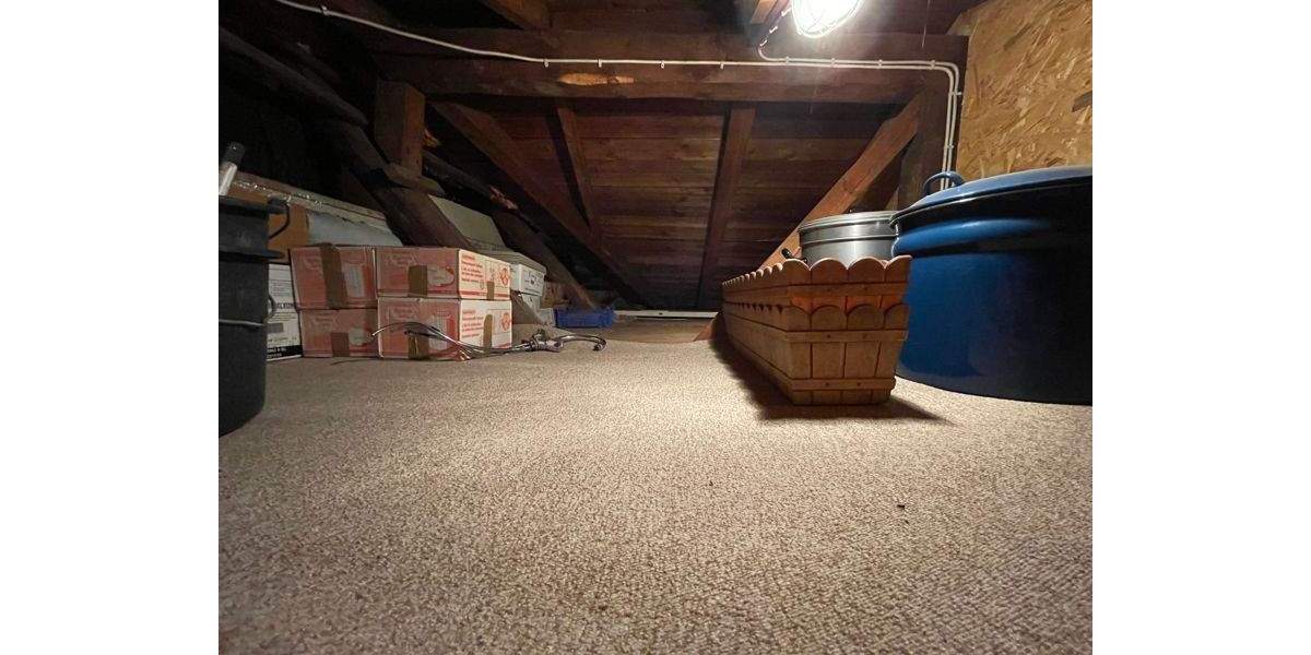 Einfamilienhaus Hamburg / Ochsenwerder Ochsenwerder - 4 Zimmer, 64 m&sup2;, 389.000&euro; | Angebot:25705168