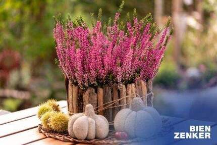 Haus Hamburg Bergstedt - 5 Zimmer, 175 m&sup2;, 986.470&euro; | Angebot:25797385