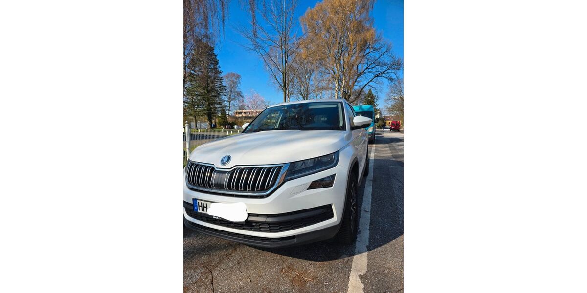 Skoda Kodiaq 204.000 km 19.499 &euro; Hamburg 22147