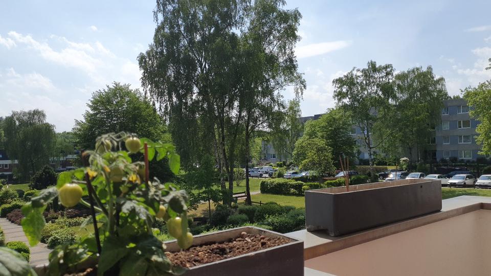 Etagenwohnung Hamburg Wandsbek - 3 Zimmer, 67 m&sup2;, 270.000&euro; | Angebot:25945083