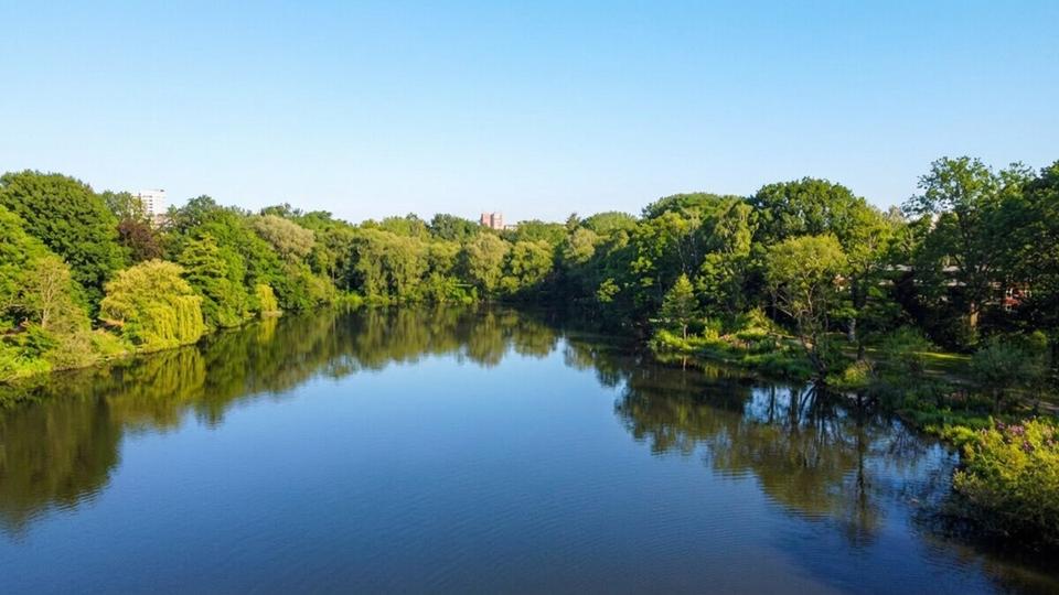 Etagenwohnung Hamburg Wandsbek - 2 Zimmer, 62 m&sup2;, 1.210&euro; | Angebot:26005683