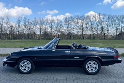 Alfa Romeo Spider 216.000 km 13.999 &euro; Wedel 22880