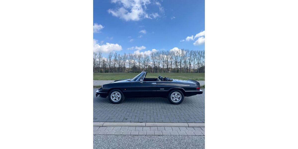 Alfa Romeo Spider 216.000 km 13.999 &euro; Wedel 22880