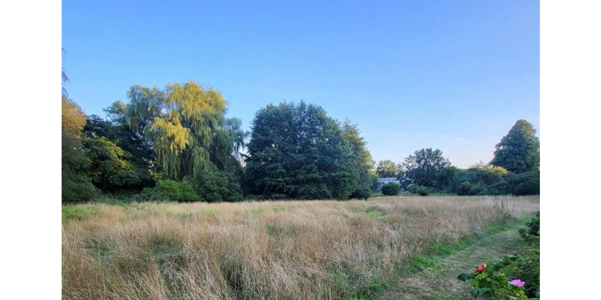 Mehrfamilienhaus, Wohnhaus Hamburg Rahlstedt - 1 Zimmer, 405 m&sup2;, 3.800.000&euro; | Angebot:25737372