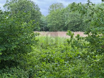 IDEAL FÜR FREIZEIT IN DER NATUR - Grundstück Lutzhorn | Angebot:25939973