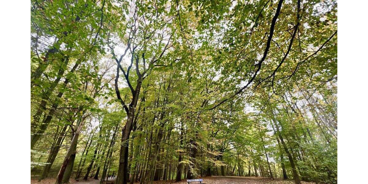 Mehrfamilienhaus, Wohnhaus Hamburg Blankenese - 7 Zimmer, 258 m&sup2;, 1.990.000&euro; | Angebot:25801822