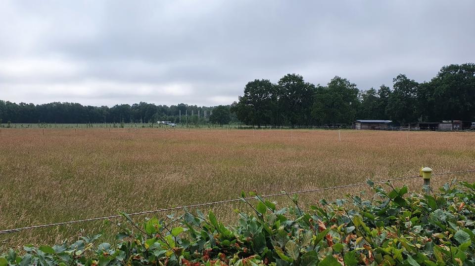 Etagenwohnung Norderstedt Friedrichsgabe - 3 Zimmer, 78 m&sup2;, 1.200&euro; | Angebot:24747970