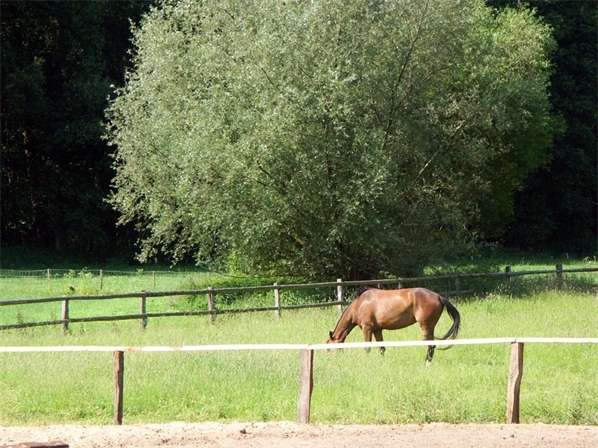 Einfamilienhaus Todendorf - 4 Zimmer, 124 m&sup2;, 1.600&euro; | Angebot:23936574