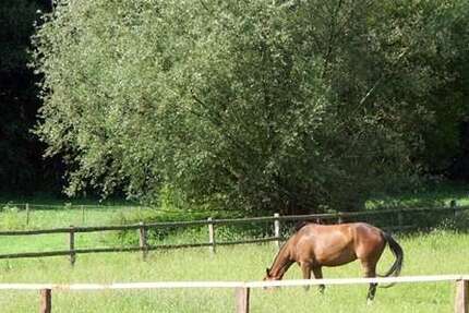 Haus Todendorf - 4 Zimmer, 124 m&sup2;, 1.600&euro; | Angebot:23936574