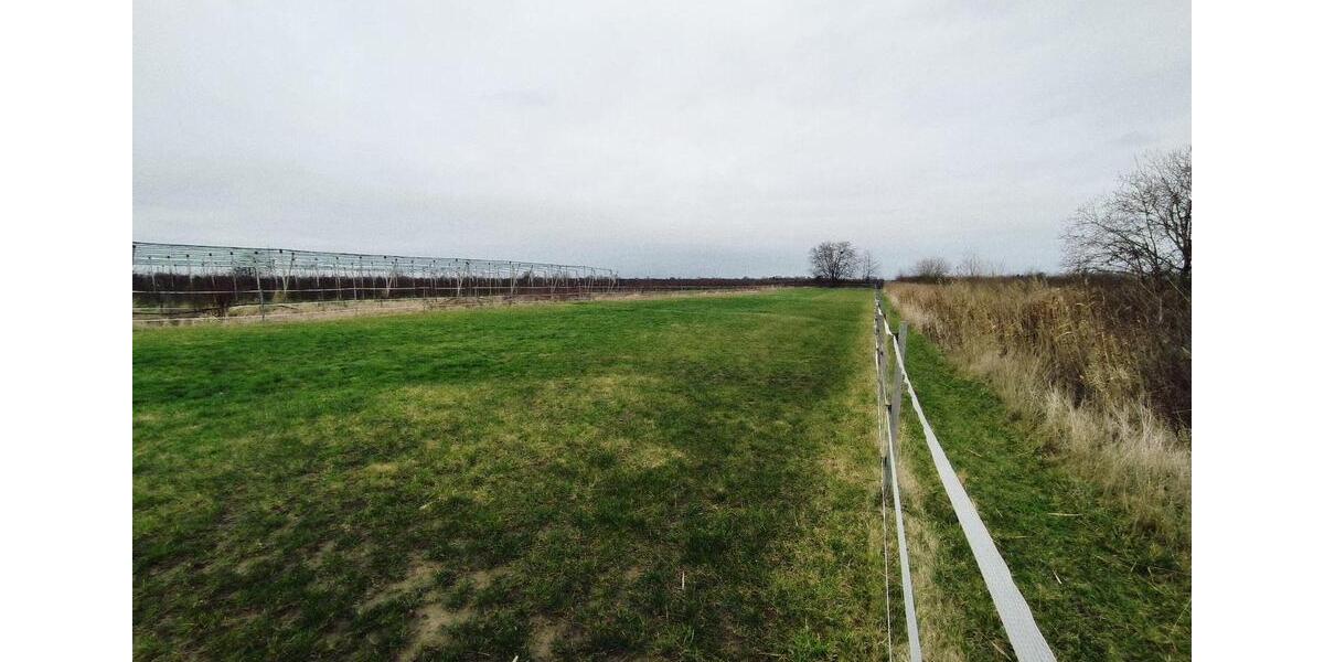 Hochparterre Jork - 5.5 Zimmer, 135 m&sup2;, 1.800&euro; | Angebot:25936098