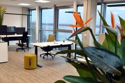 Gewerbeobjekt Wedel - 1 Zimmer, 76 m&sup2;, 1.300&euro; | Angebot:25664579