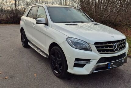 Mercedes-Benz ML 350 239.800 km 17.250 &euro; Prisdorf 25497