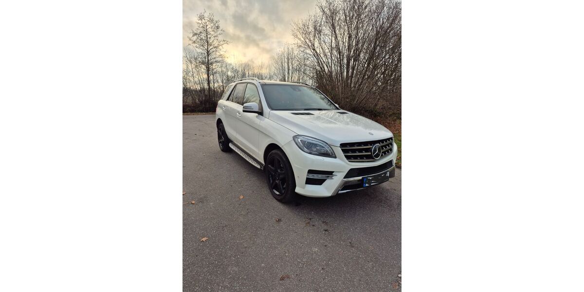 Mercedes-Benz ML 350 239.800 km 17.250 &euro; Prisdorf 25497