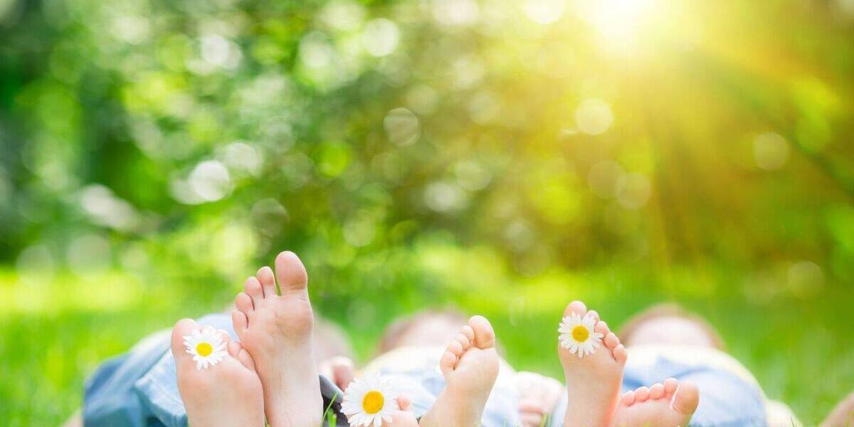 Grundstück Hamburg Neugraben-Fischbek - 293.000&euro; | Angebot:25801794