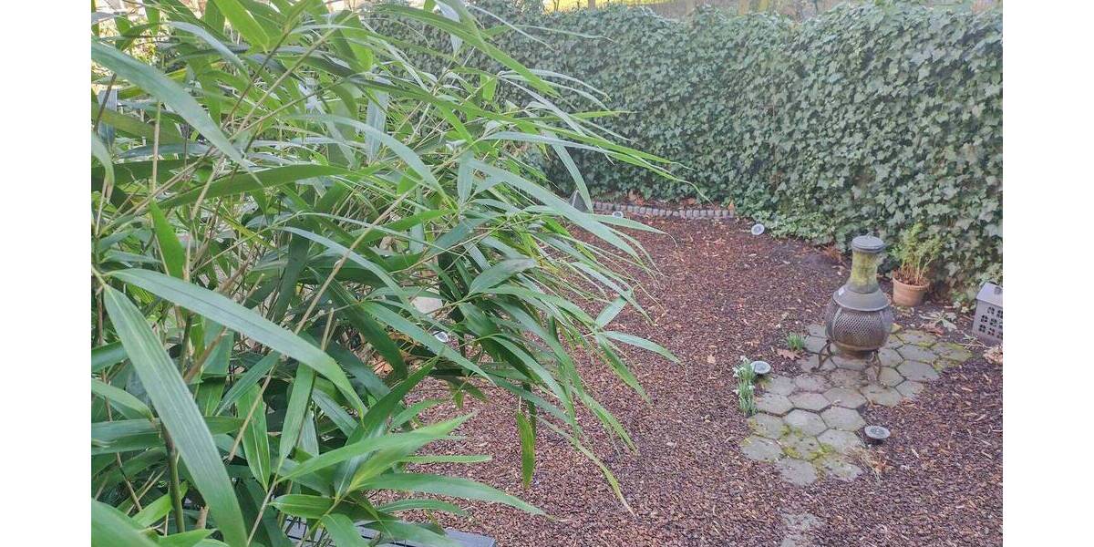 Etagenwohnung Hamburg Barmbek-Nord - 2 Zimmer, 44 m&sup2;, 269.000&euro; | Angebot:26028378