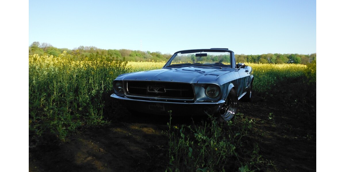 Ford Mustang 125.000 km 50.000 &euro; Hamburg 20038