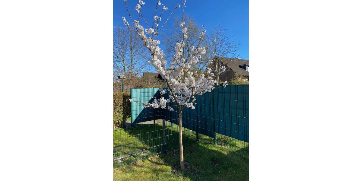 Doppelhaushälfte Hamburg Harburg - 5 Zimmer, 146 m&sup2;, 619.000&euro; | Angebot:25651992