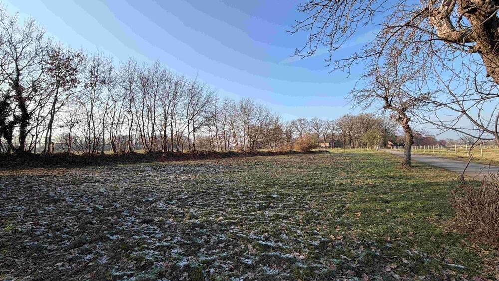 Einfamilienhaus Moorrege - 3 Zimmer, 80 m&sup2;, 419.000&euro; | Angebot:25697880