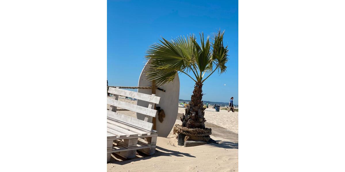 Terrassenwohnung Hamburg Wandsbek - 2 Zimmer, 41 m&sup2;, 275.000&euro; | Angebot:25930756