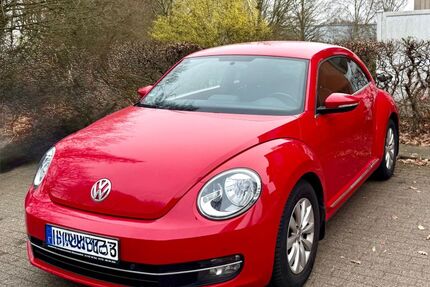 VW Beetle 135.000 km 6.999 &euro; Lübeck 23562