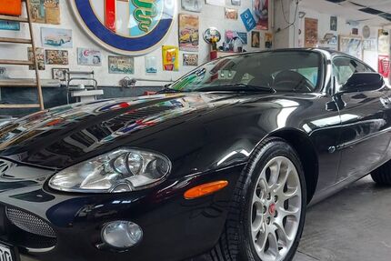 Jaguar XKR 185.000 km 12.500 &euro; Fuhlendorf 24649
