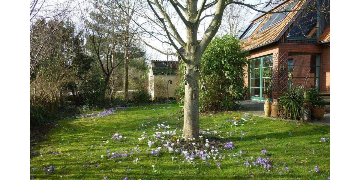 Einfamilienhaus Haseldorf - 3 Zimmer, 145 m&sup2;, 679.000&euro; | Angebot:25781575