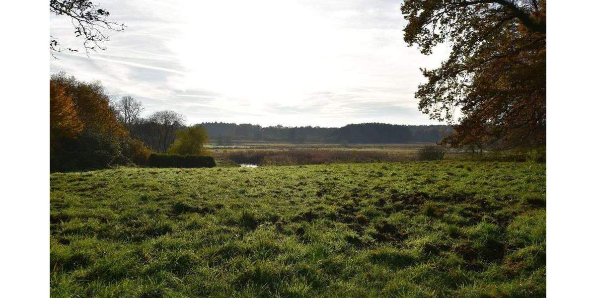 Mehrfamilienhaus, Wohnhaus Trittau - 795.000&euro; | Angebot:25726905