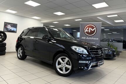 Mercedes-Benz ML 350 216.000 km 19.499 &euro; Hamburg 21031