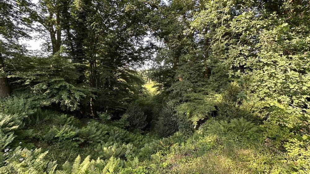 Grundstück Hamburg Lemsahl-Mellingstedt - 1.050.000&euro; | Angebot:25662625