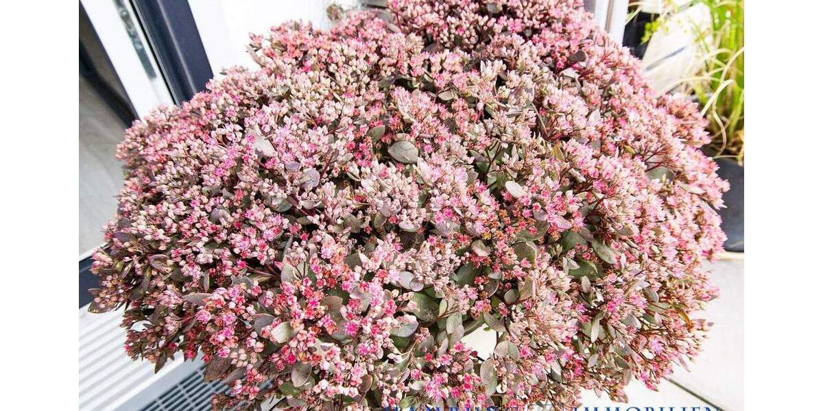 Etagenwohnung Hamburg / Langenhorn Langenhorn - 3 Zimmer, 71 m&sup2;, 420.000&euro; | Angebot:25680637