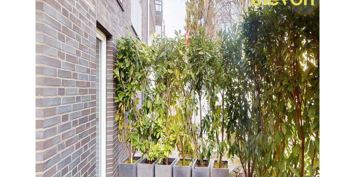 Erdgeschoßwohnung Hamburg Hohenfelde - 1 Zimmer, 32 m&sup2;, 804&euro; | Angebot:25364612