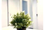 Etagenwohnung Hamburg Wandsbek - 1 Zimmer, 43 m&sup2;, 1.500&euro; | Angebot:26568275