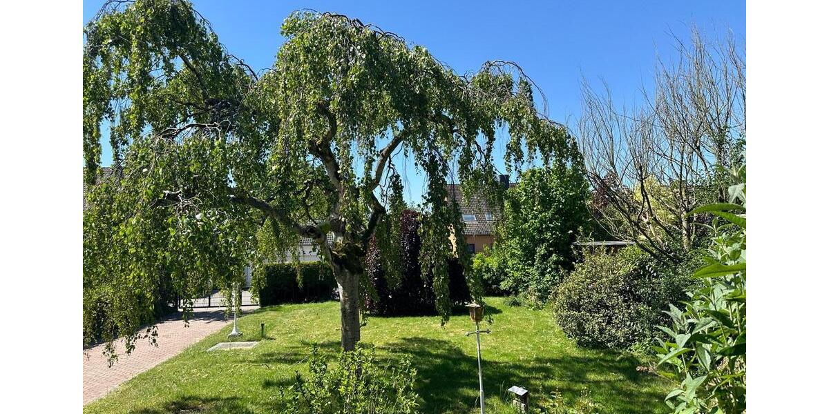 Einfamilienhaus Norderstedt Friedrichsgabe - 4 Zimmer, 120 m&sup2;, 495.000&euro; | Angebot:26042736