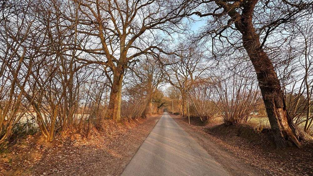 Grundstück Hamburg Lemsahl-Mellingstedt - 740.000&euro; | Angebot:25702385